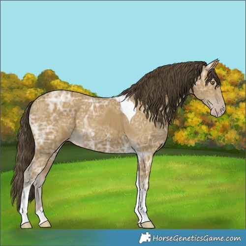 Horse Color:Classic Cream Champagne Ice Tobiano