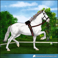 Horse Color:Smoky Creme Ice 