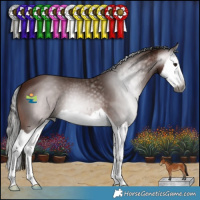 Horse Color:Gray Bay Splash