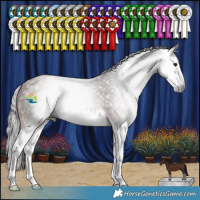 Horse Color:Gray Bay Splash