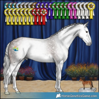 Horse Color:Gray Bay Splash 