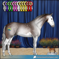 Horse Color:Gray Bay Splash