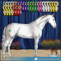 Horse Color:Gray Bay Splash 