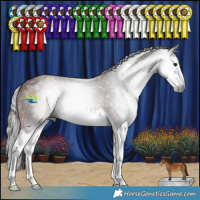 Horse Color:Gray Bay Splash