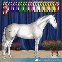 Horse Color:Gray Bay Splash 
