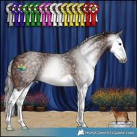 Horse Color:Gray Bay Splash