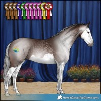 Horse Color:Gray Bay Splash