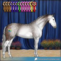 Horse Color:Gray Bay Splash 