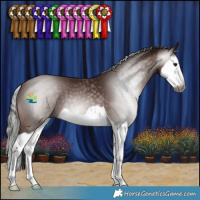 Horse Color:Gray Bay Splash 