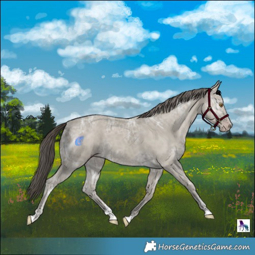 Horse Color:Classic Cream Champagne Ice 