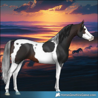 Horse Color:Brown Splash Tobiano 