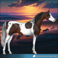 Horse Color:Brown Splash Tobiano 