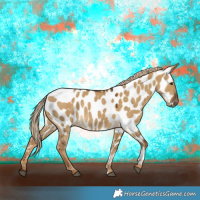 Horse Color:Chocolate Palomino Dun Near Leopard 