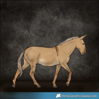 Horse Color:White Spotted Chocolate Palomino Dun 