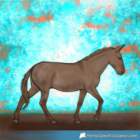 Horse Color:Liver Red Dun Rabicano 