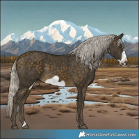 Horse Color:Silver Buckskin Frame 
