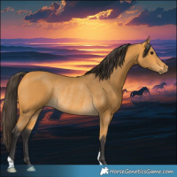 Horse Color:Buckskin Rabicano