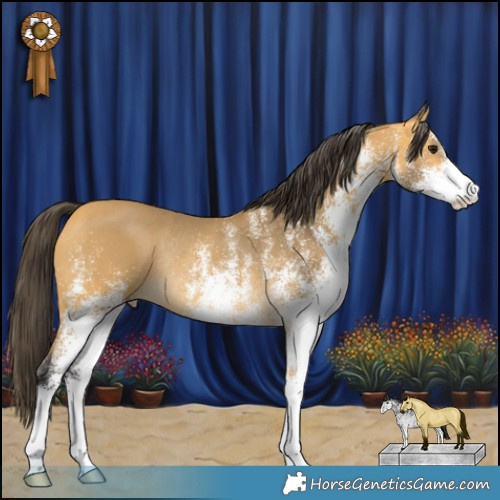 Horse Color:White Spotted Buckskin Rabicano 
