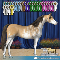 Horse Color:White Spotted Buckskin Rabicano 