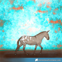 Horse Color:Liver Red Dun Appaloosa 