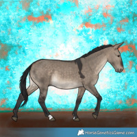 Horse Color:Brown Dun