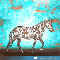 Horse Color:White Spotted Silver Brown Dun Near Leopard 