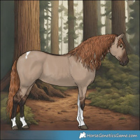 Horse Color:Liver Red Dun Tobiano 