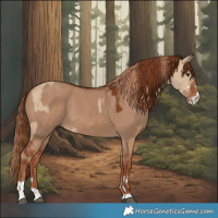Horse Color:Red Dun and Red Dun