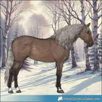 Horse Color:Silver Brown Dun