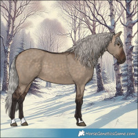Horse Color:Silver Brown Dun 