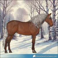 Horse Color:Silver Bay  and Silver Bay 