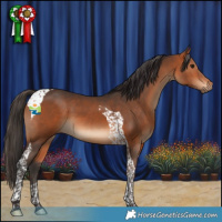 Horse Color:Bay Tobiano 