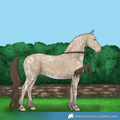Horse Color:Classic Cream Champagne Ice 