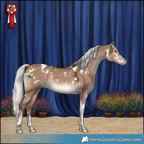 Horse Color:White Spotted Silver Brown Dun Tobiano 