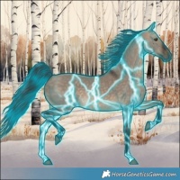 Horse Color:Thunderstruck Brown Dun Rabicano