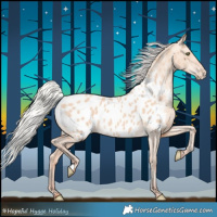 Horse Color:Silver Amber Champagne Dun Near Leopard Rabicano 