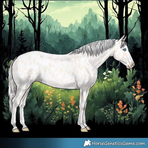 Horse Color:Cremello Roan Appaloosa 