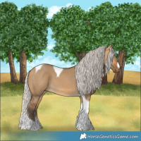 Horse Color:Silver Buckskin Dun Tobiano