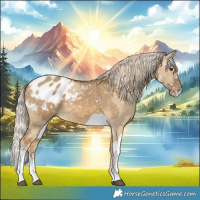 Horse Color:Chocolate Palomino Dun Appaloosa  and Chocolate Palomino Dun Splash Appaloosa 