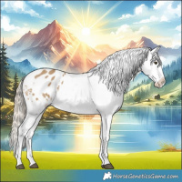 Horse Color:Chocolate Palomino Dun Blanket  and Chocolate Palomino Dun Splash Blanket 