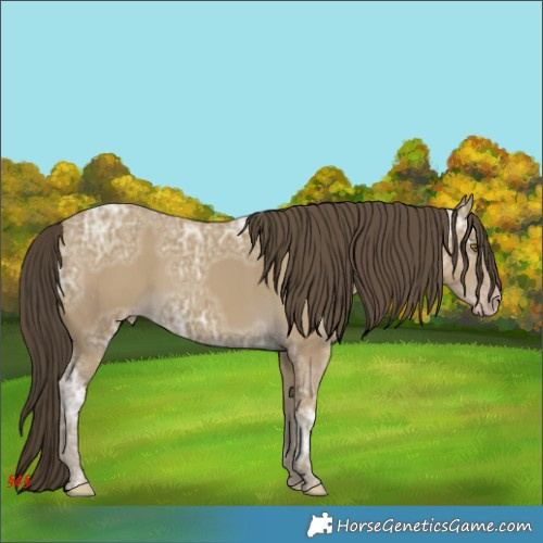 Horse Color:Classic Cream Champagne Ice 