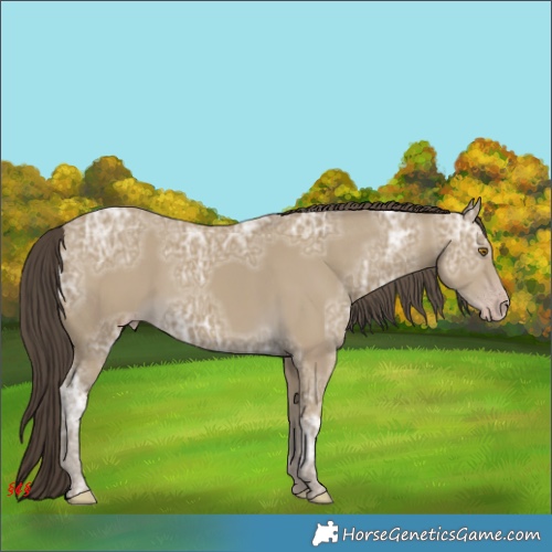 Horse Color:Classic Cream Champagne Ice