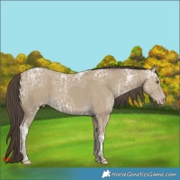 Horse Color:Classic Cream Champagne Ice 