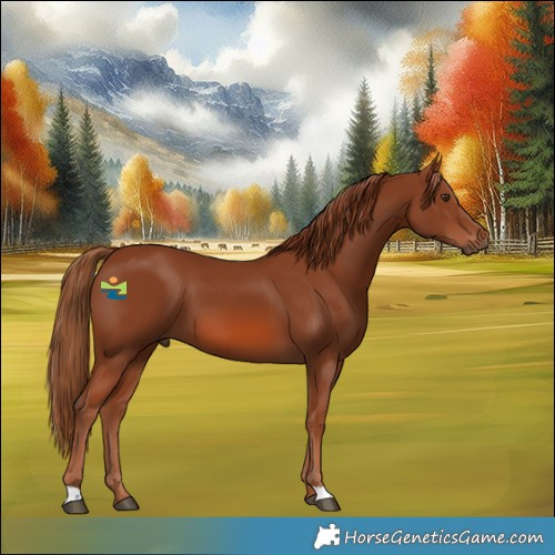 Horse Color:Chestnut 