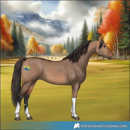 Horse Color:Bay Dun Tobiano 