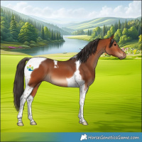 Horse Color:Bay Tobiano 
