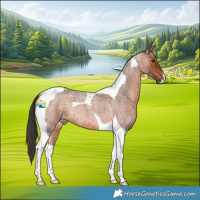 Horse Color:Bay Roan Tobiano