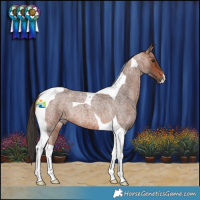 Horse Color:Bay Roan Tobiano