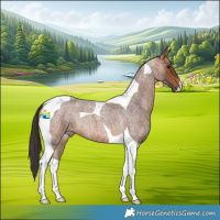 Horse Color:Bay Roan Tobiano