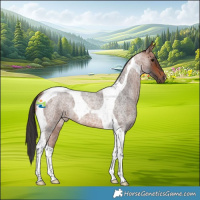Horse Color:Bay Roan Tobiano